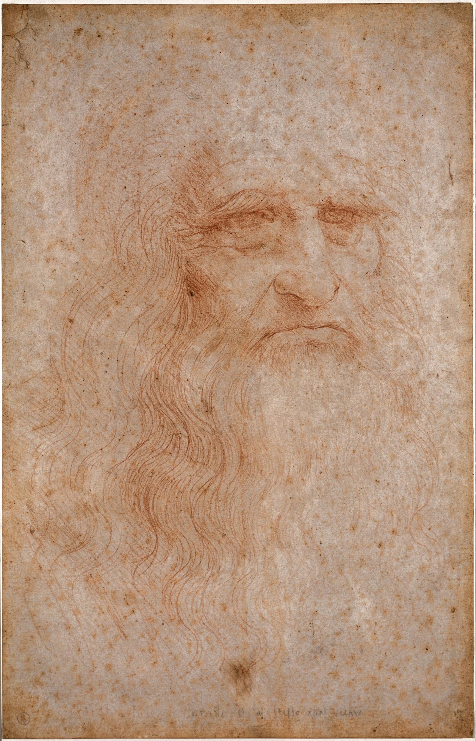 Leonardo da Vinci by Walter Isaacson (image credits: wikimedia)