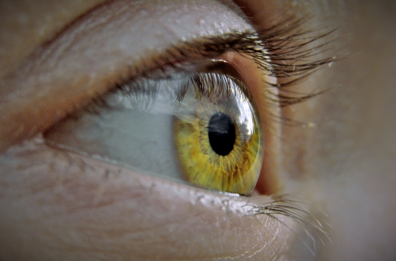 The Human Sonar – Ben Underwood (Echolocation) (image credits: pixabay)