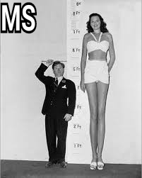 Standing at the Median: Height (image credits: wikimedia)