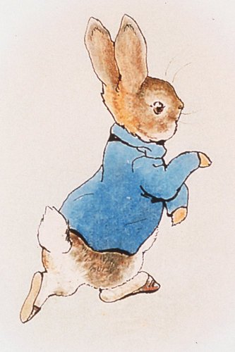 The Tale of Peter Rabbit by Beatrix Potter (image credits: wikimedia)