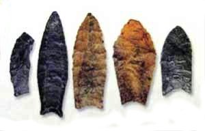 The Dawn of Warfare: Prehistoric Conflicts (image credits: wikimedia)