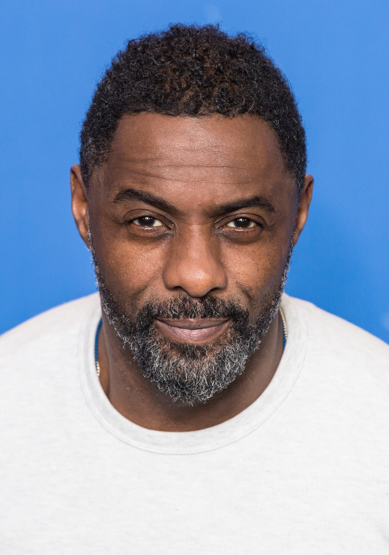 Idris Elba: The Definition of Timeless Elegance (image credits: wikimedia)
