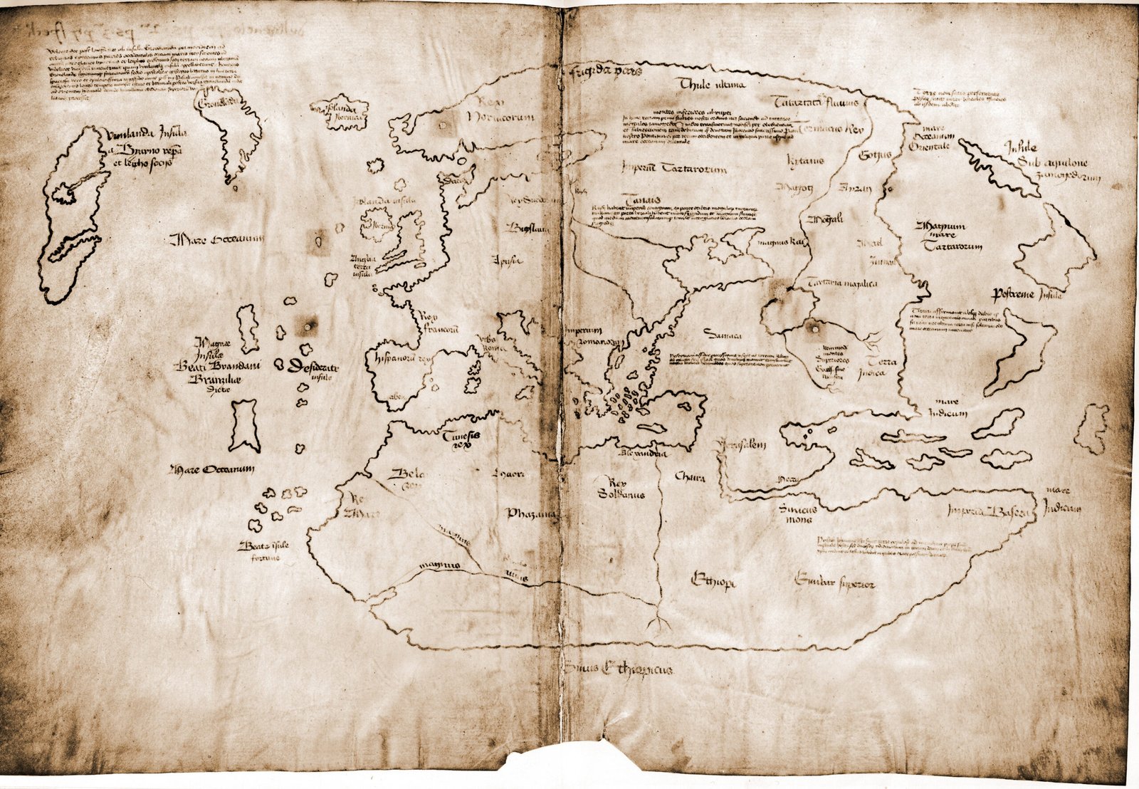 The Vinland Map (image credits: wikimedia)