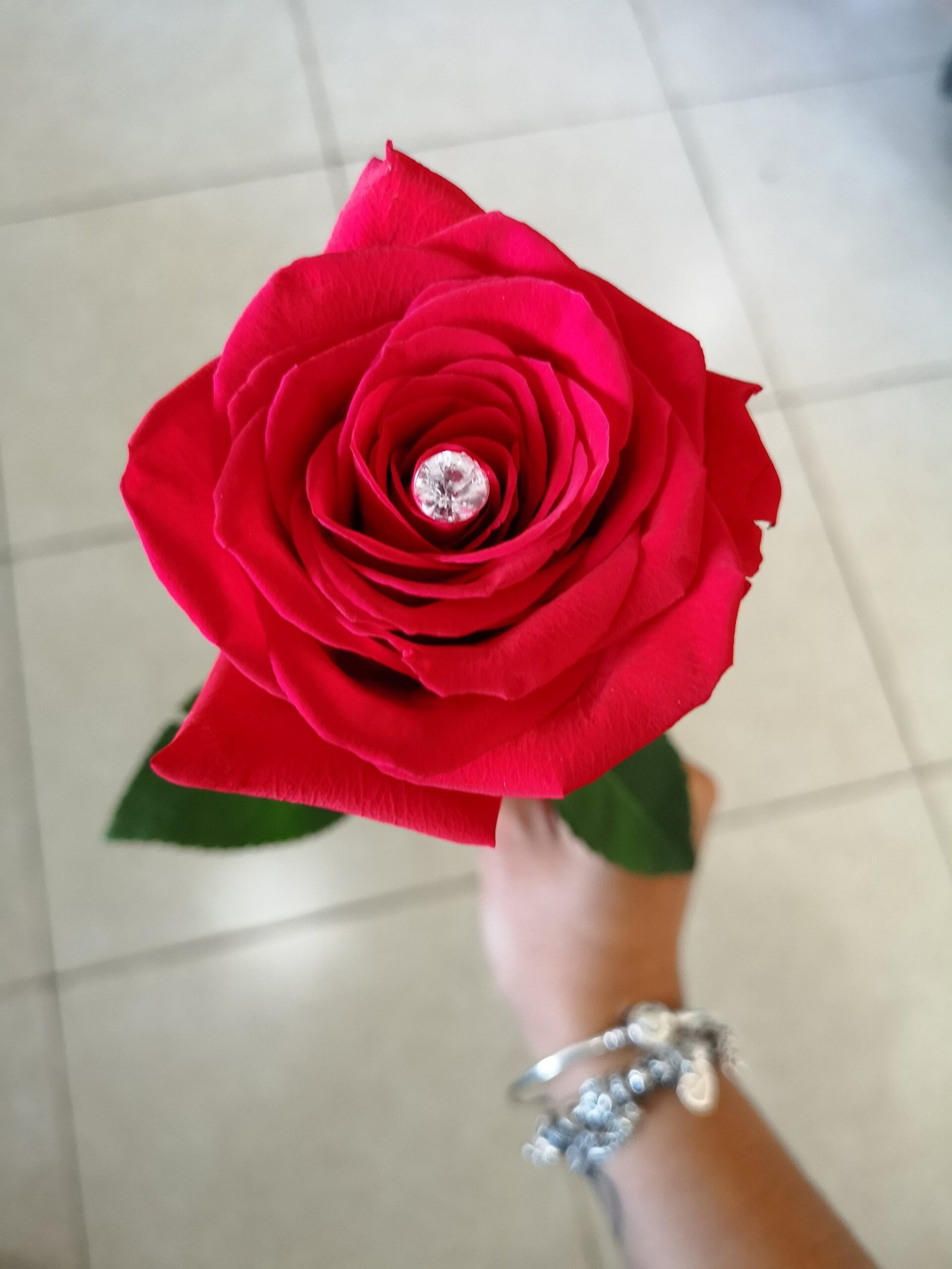 Holding a Flower (Especially Rose) – Virginity or Dynastic Lineage (image credits: wikimedia)
