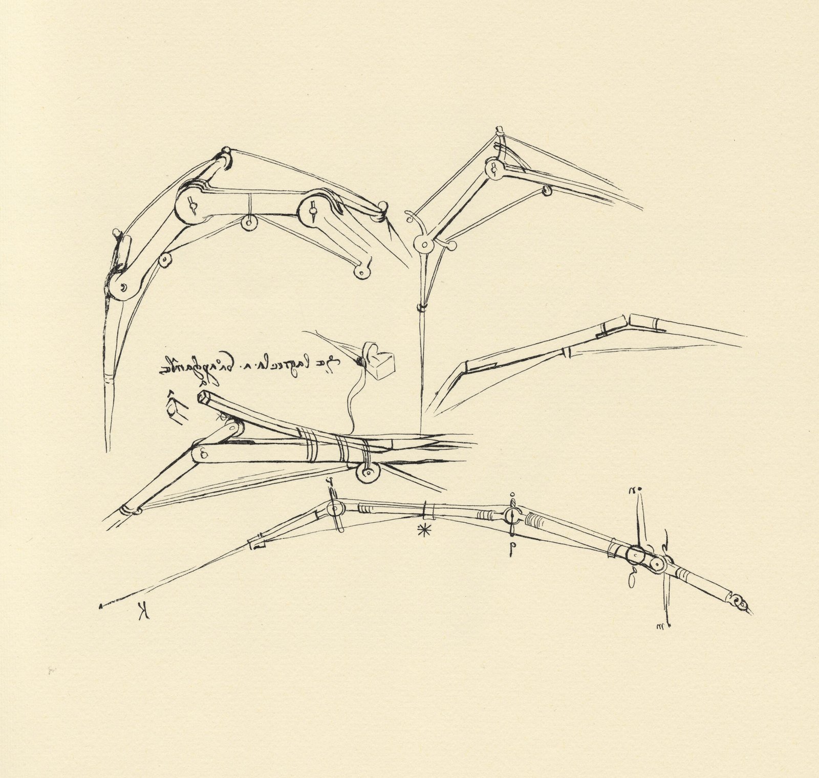 Da Vinci’s Inventions – Flying Machines & Tanks (image credits: wikimedia)