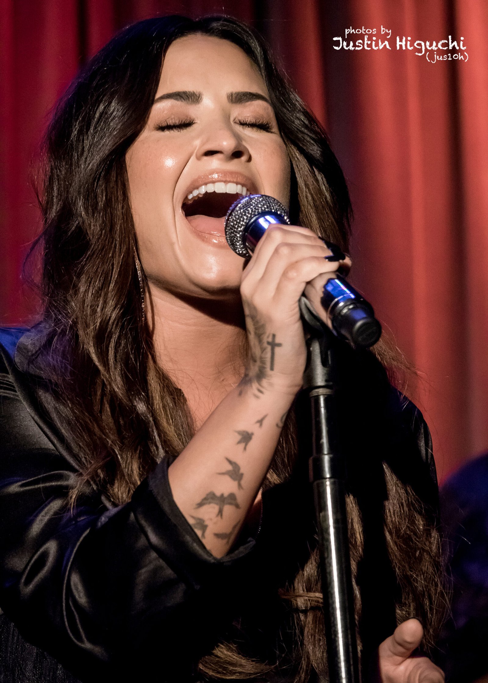 Demi Lovato: Survivor Spirit on Display (image credits: wikimedia)