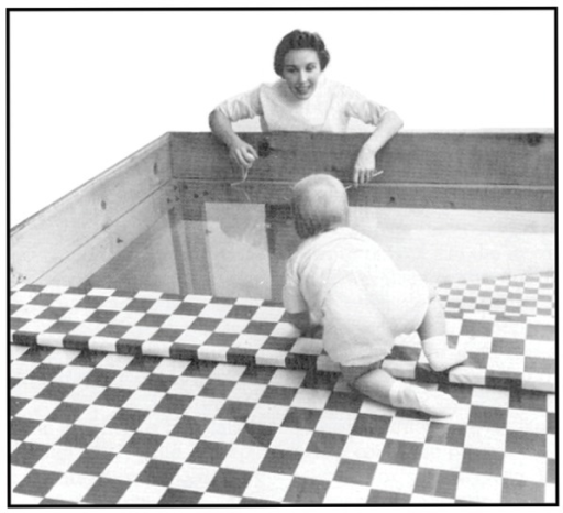 The Monster Study (1939): Psychological Harm to Orphans (image credits: wikimedia)