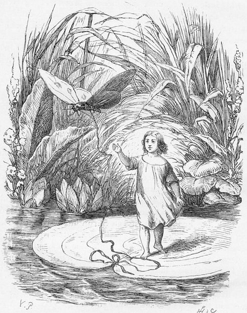 Thumbelina – Autonomy in Marriage (image credits: wikimedia)
