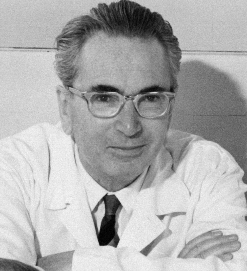 Lessons for Life: “Man’s Search for Meaning” by Viktor E. Frankl (image credits: wikimedia)