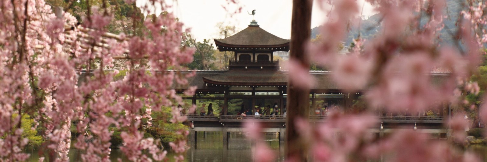 Kyoto, Japan: Blossom-Filled Tranquility (image credits: wikimedia)