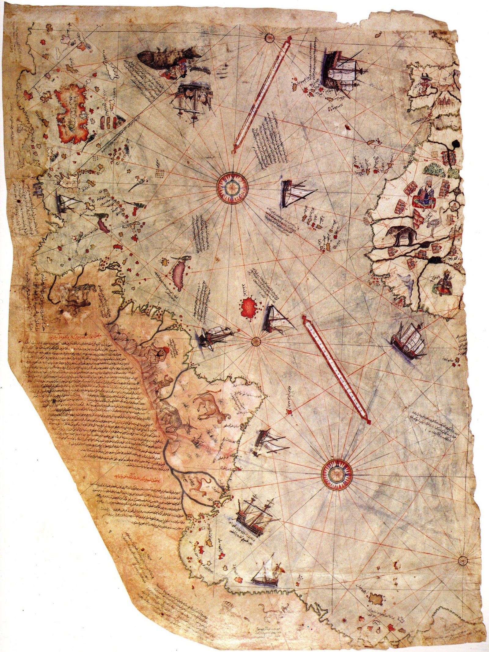 The Piri Reis Map (image credits: wikimedia)