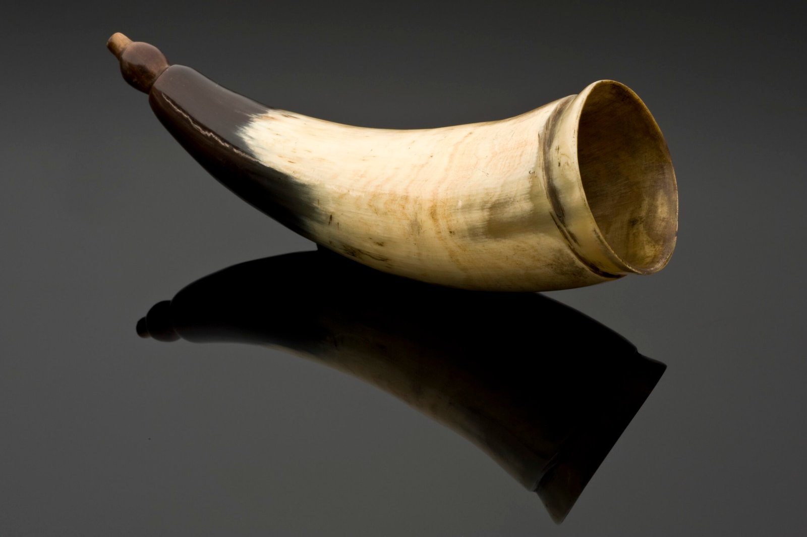 The Hearing Trumpet by Leonora Carrington (1974) (image credits: wikimedia)