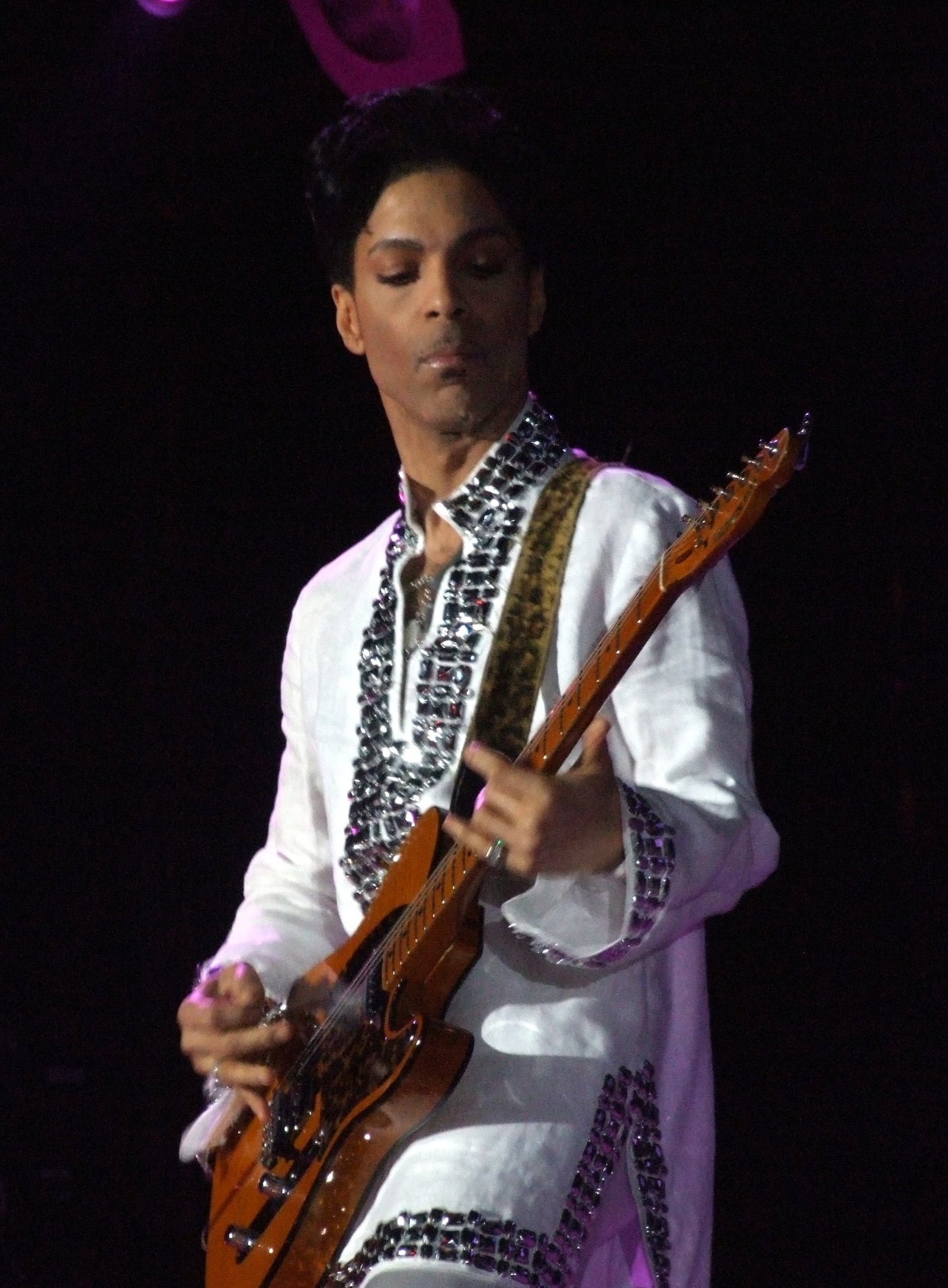 Prince (image credits: wikimedia)