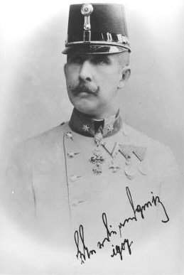 The 1914 Assassination of Archduke Franz Ferdinand – Botched Attempt (image credits: wikimedia)