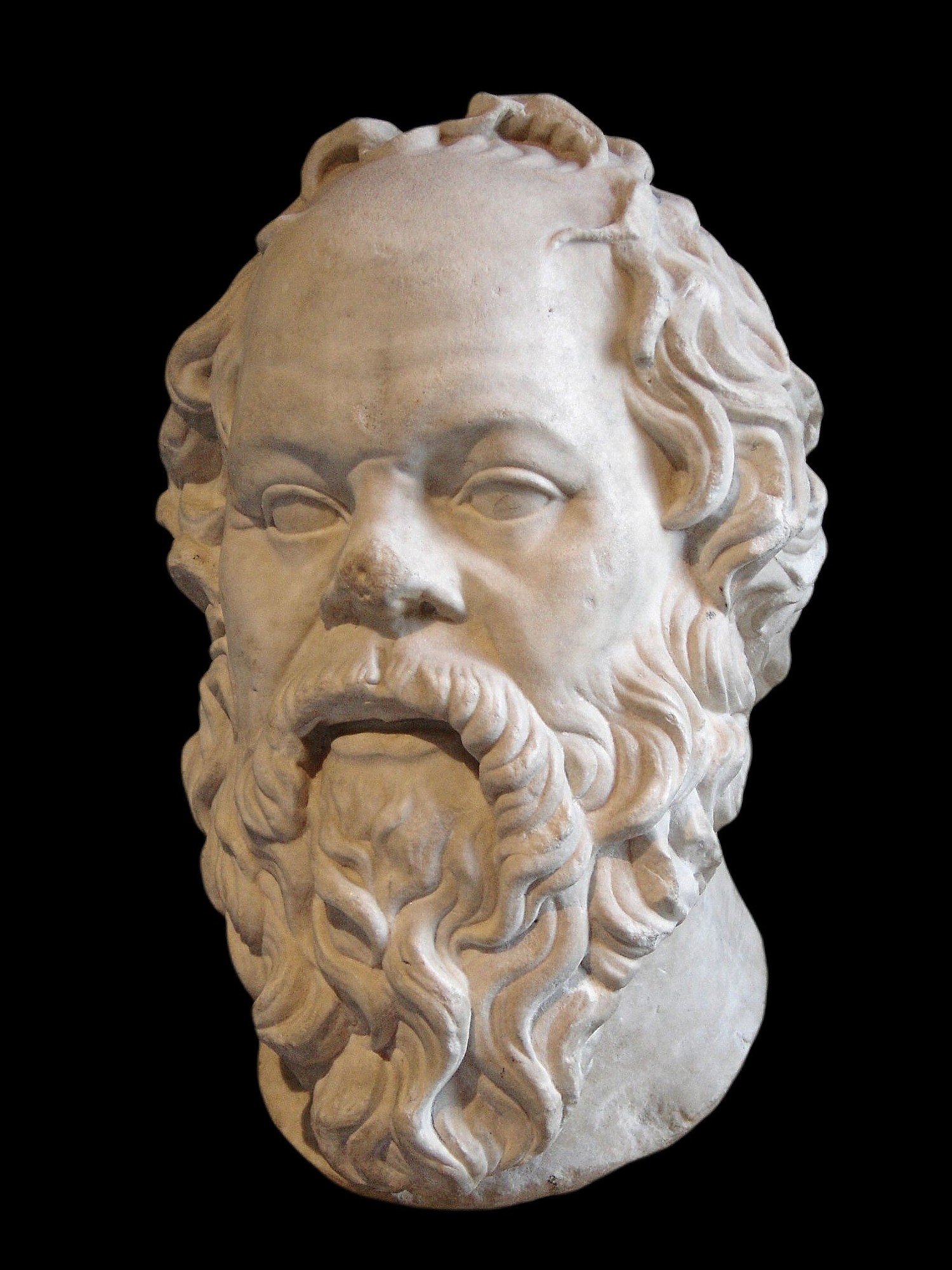 Socrates: The Relentless Questioner (image credits: wikimedia)