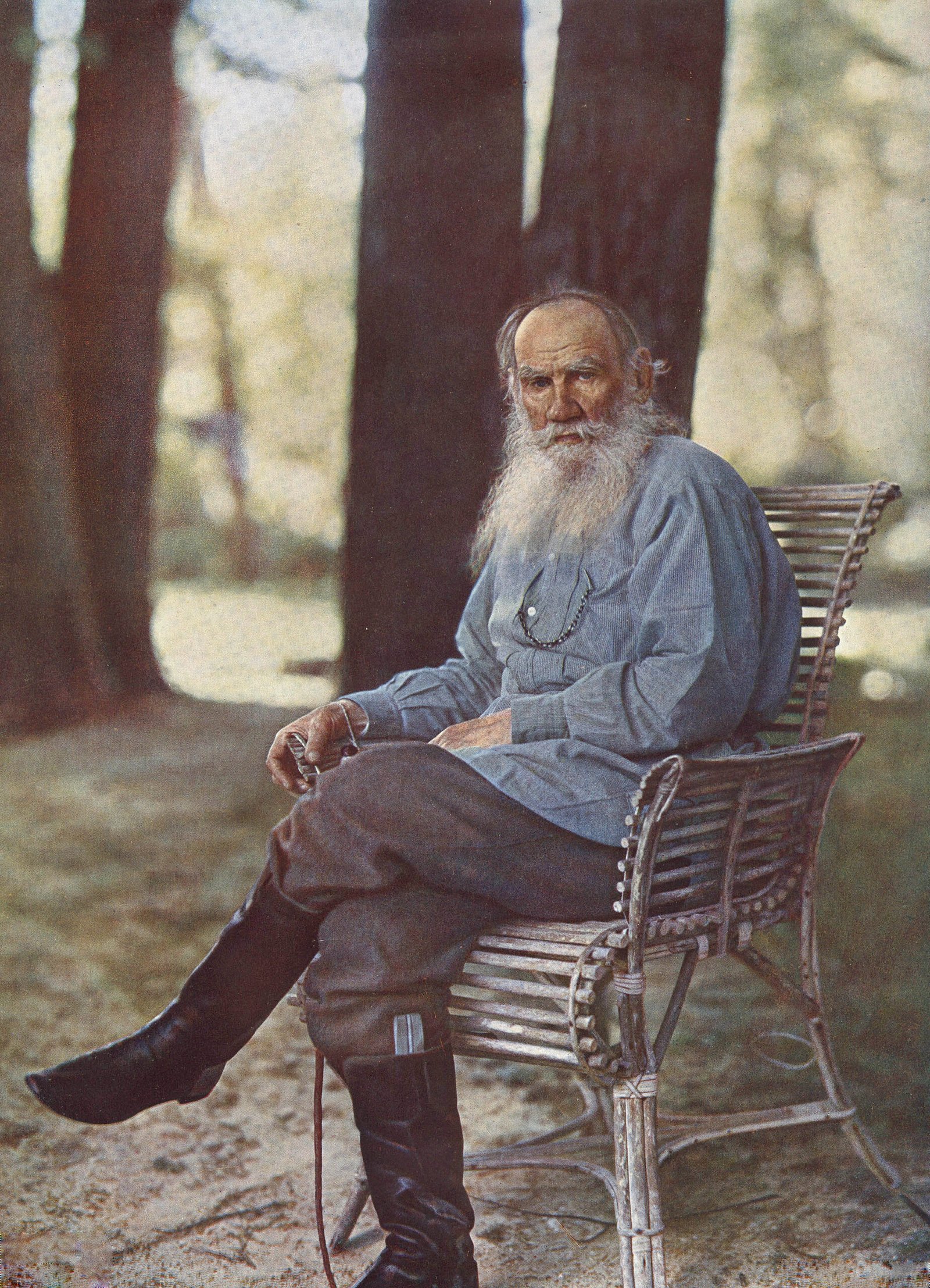 Anna Karenina by Leo Tolstoy (image credits: wikimedia)