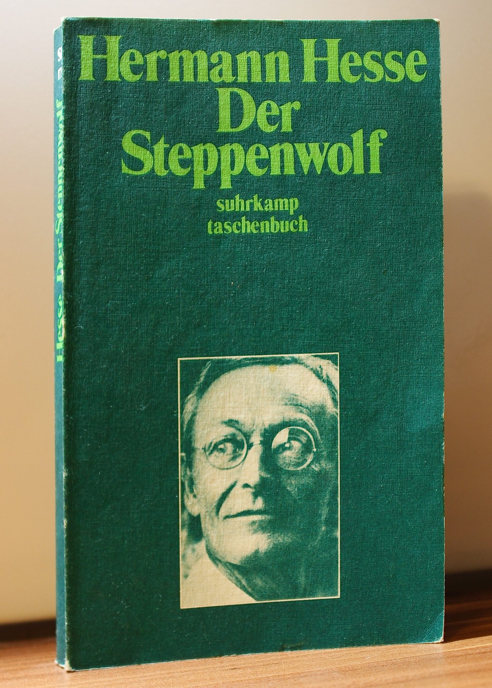 Steppenwolf by Hermann Hesse (image credits: wikimedia)