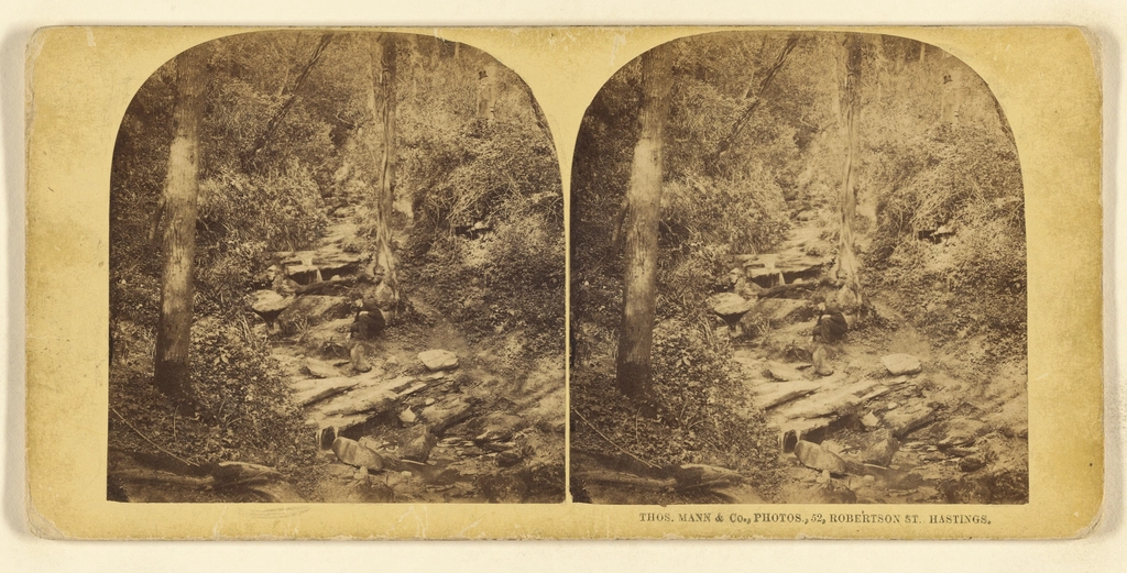 The Magic Mountain by Thomas Mann (Germany) (image credits: rawpixel)
