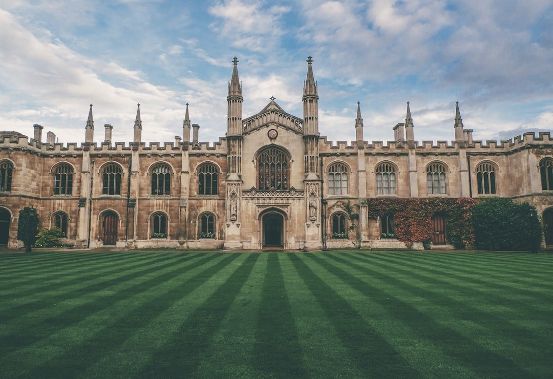 We Have Always Lived in the Castle by Shirley Jackson (image credits: unsplash)