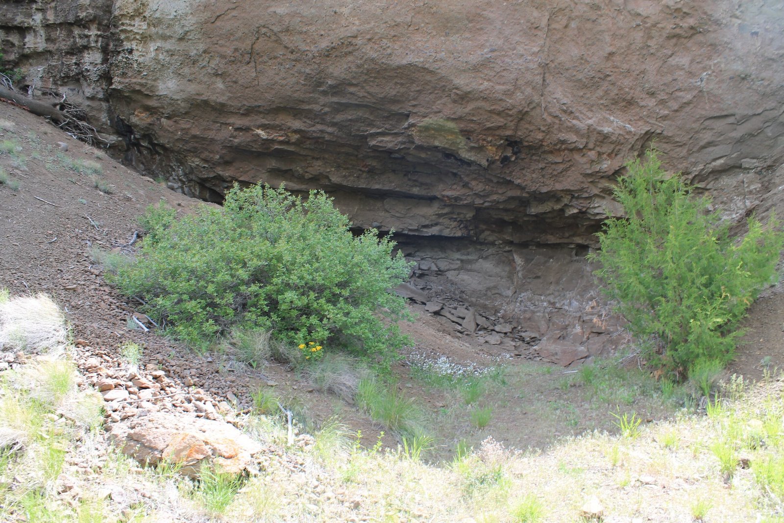 The San Pedro Mountains Mummy (USA) (image credits: wikimedia)