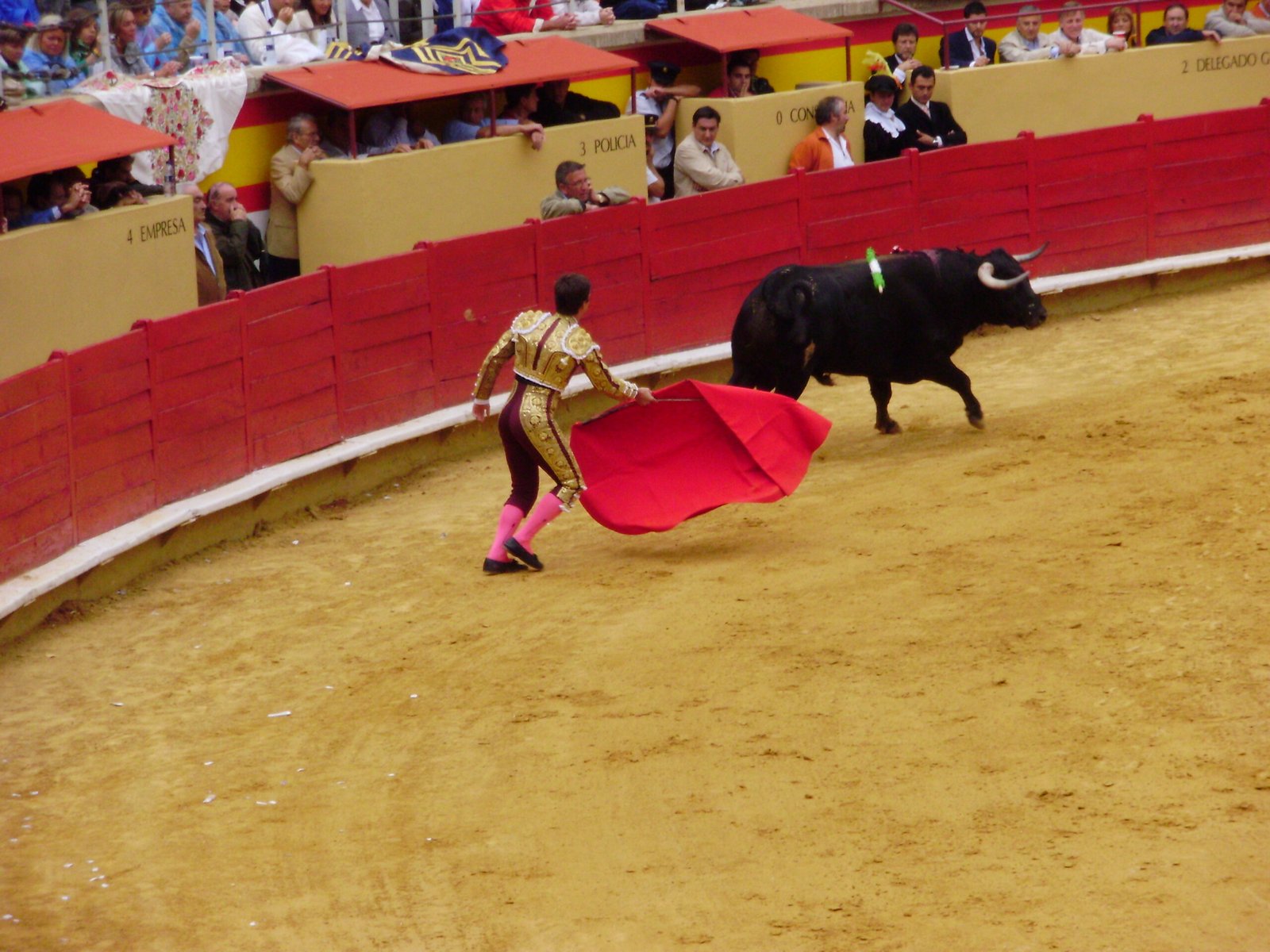 Bulls Hate the Color Red (image credits: wikimedia)