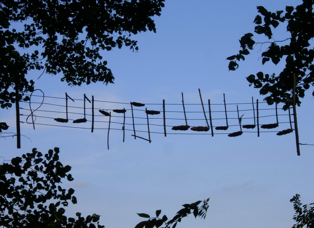 The Science Behind the Sound (image credits: rawpixel)