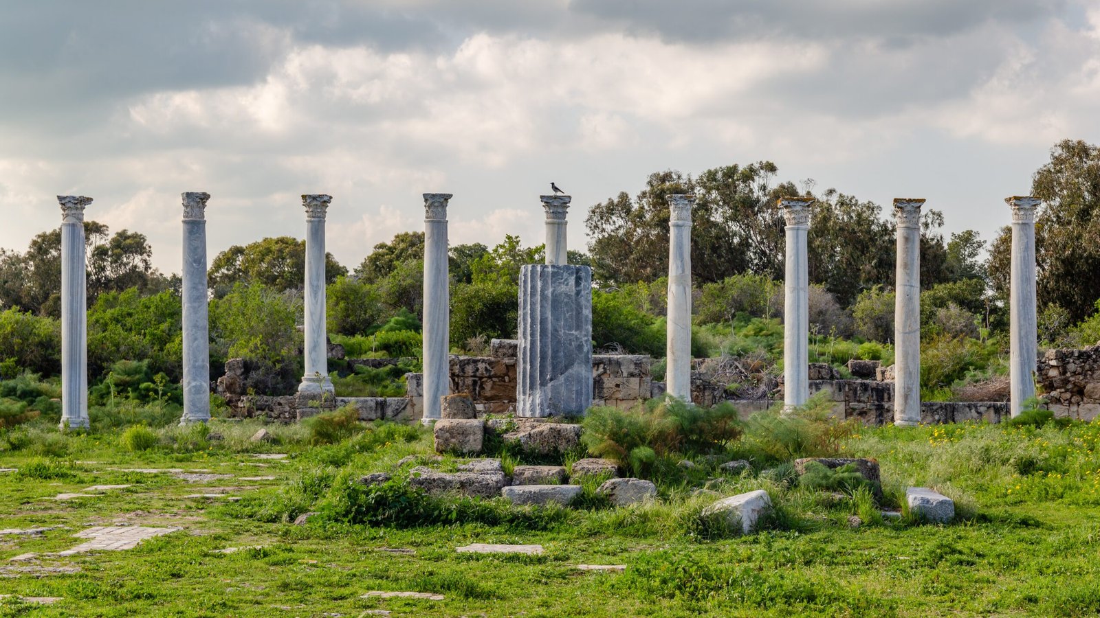 Columns (image credits: wikimedia)