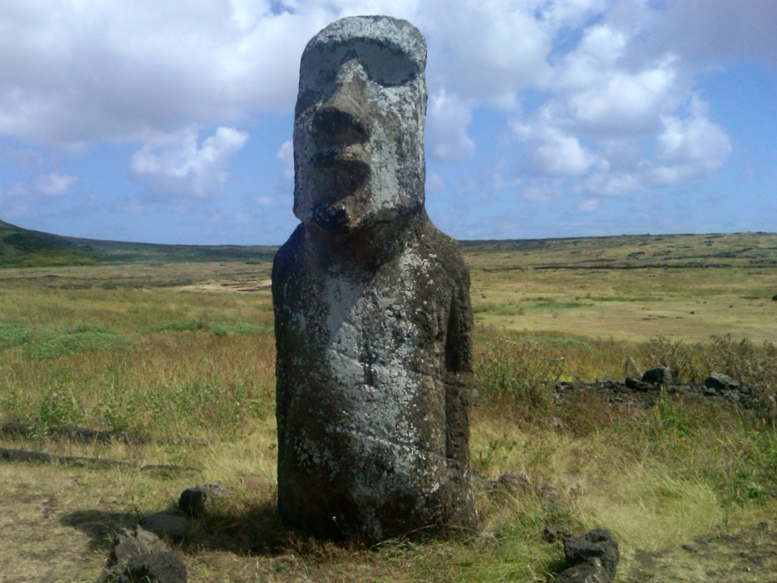 The Rapa Nui (Easter Island) (image credits: wikimedia)
