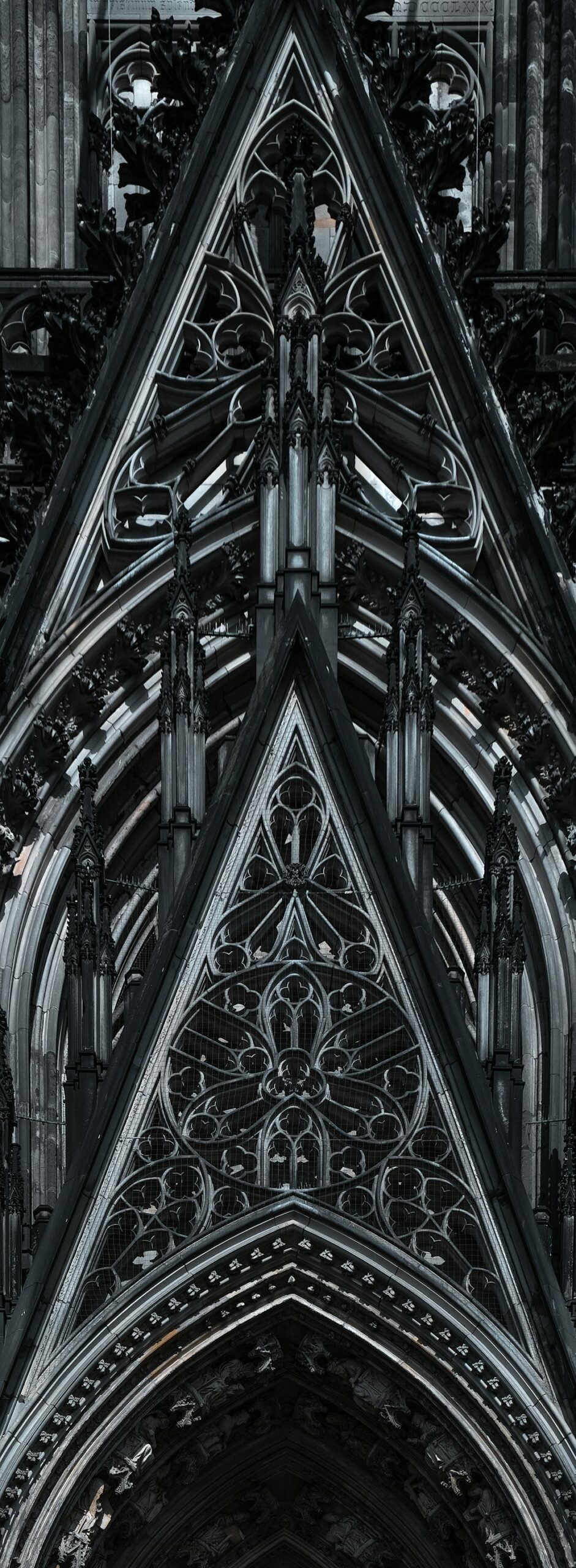 Tana French: Crime Novelist with a Taste for the Gothic (image credits: unsplash)