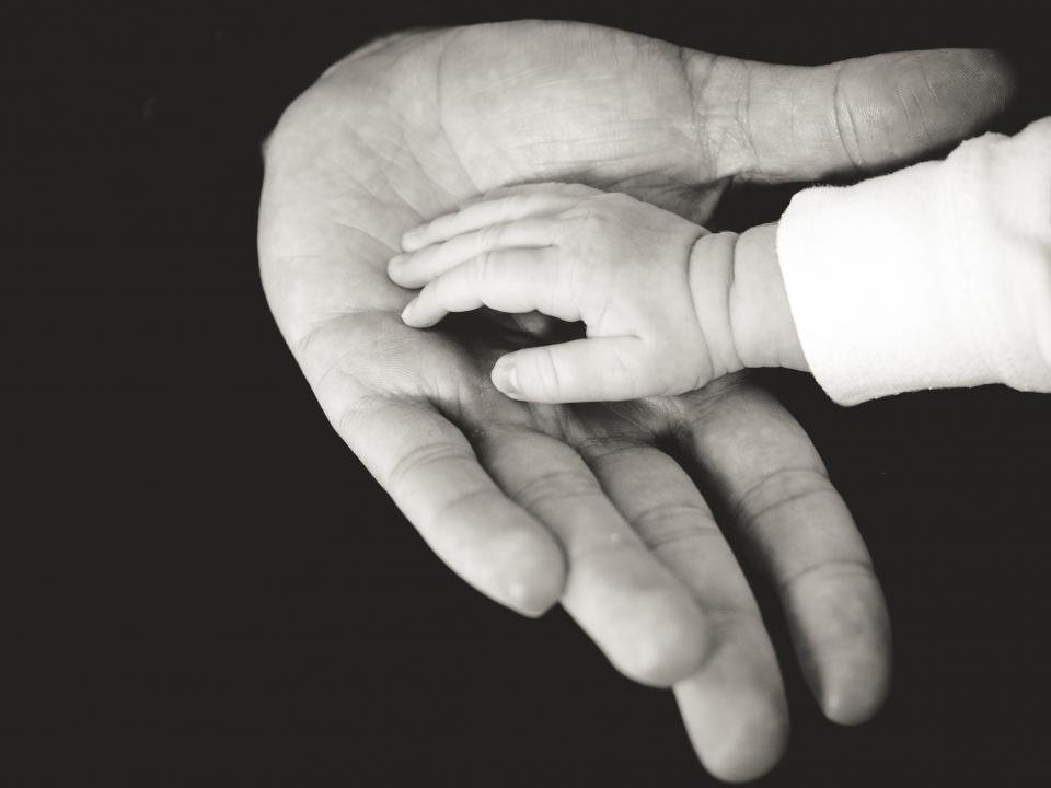 7. The Babies (That Might Not Exist) (image credits: stocksnap)