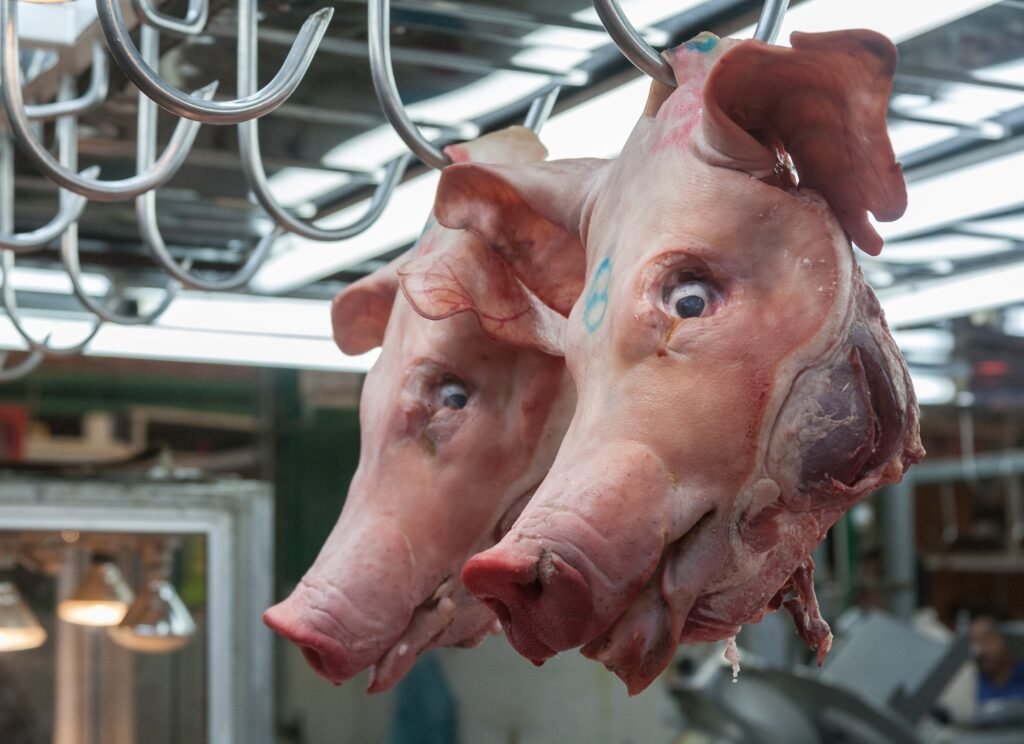 Pork Taboos in Judaism and Islam: Ancient Rules, Modern Meanings