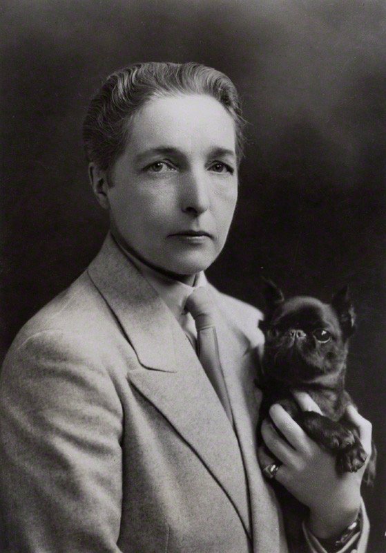 The Well of Loneliness by Radclyffe Hall (image credits: wikimedia)