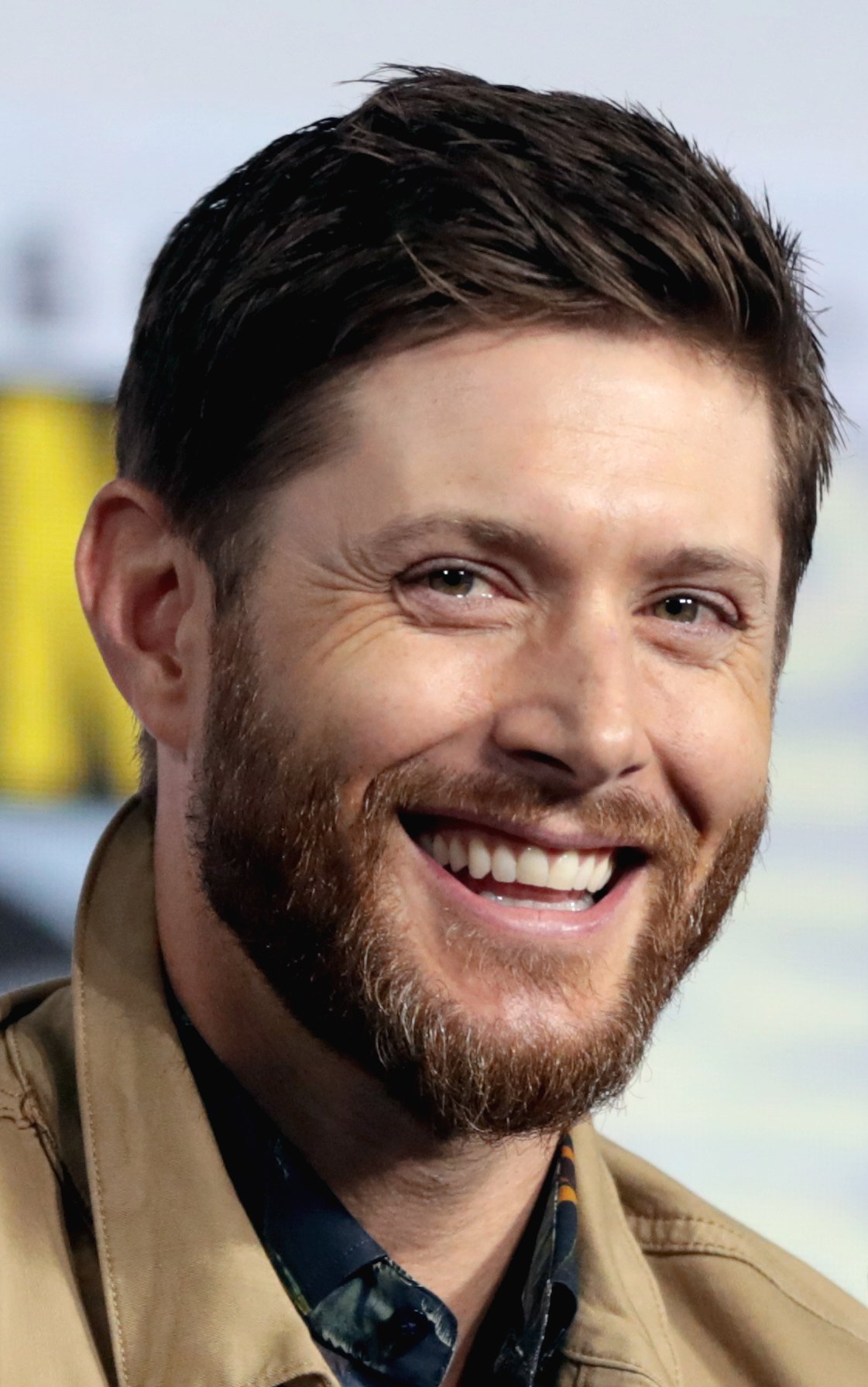 Supernatural (2005–2020) (image credits: wikimedia)
