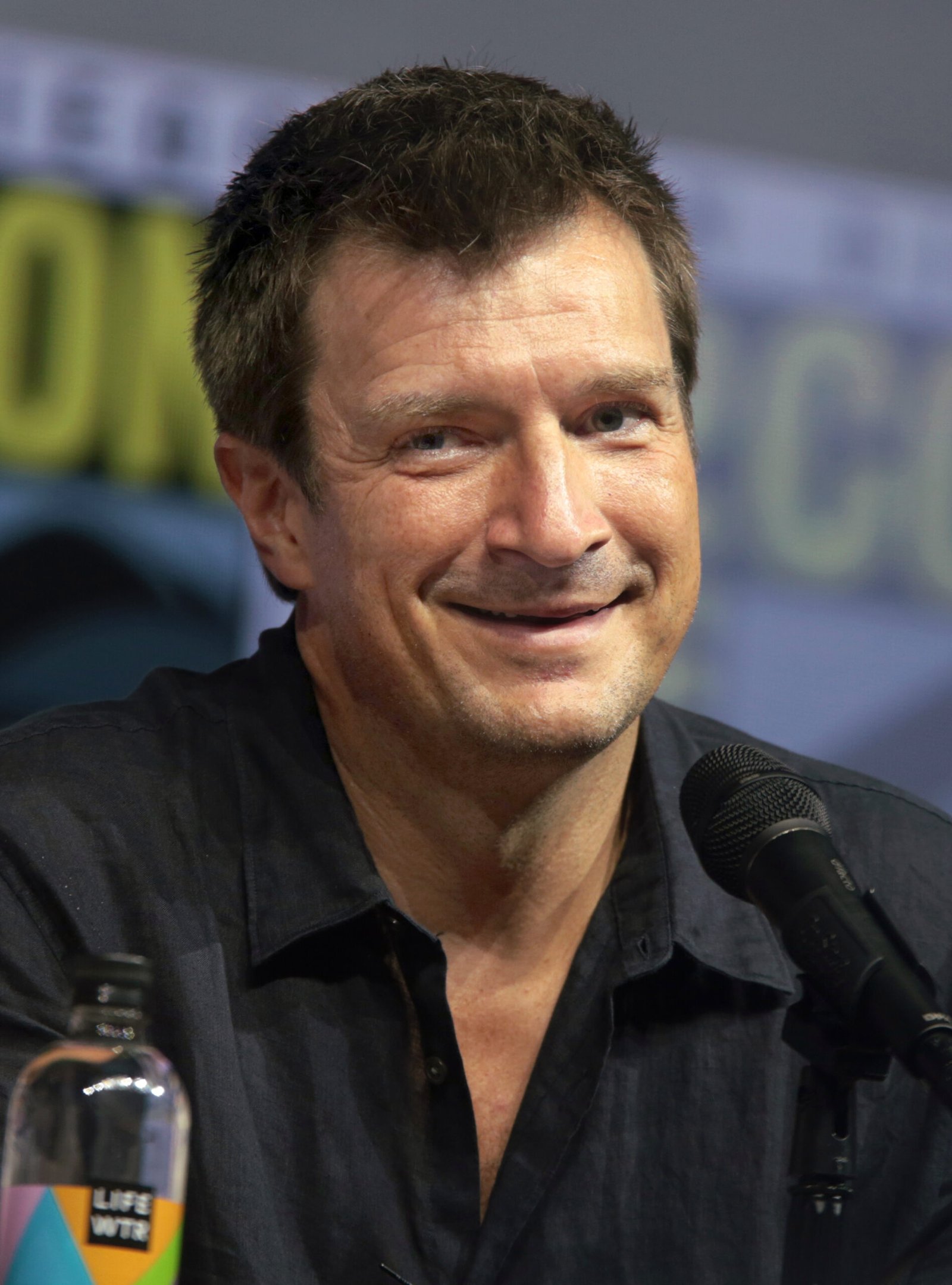 Firefly (2002) (image credits: wikimedia)