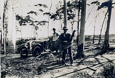 The Great Emu War (1932) (image credits: wikimedia)