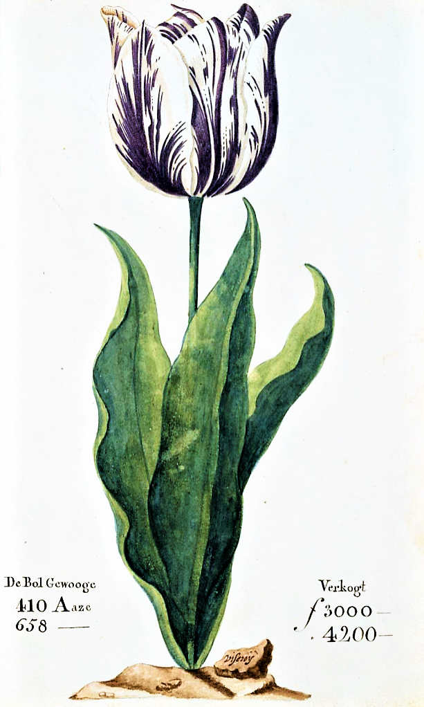 Tulip Mania (1630s) (image credits: wikimedia)