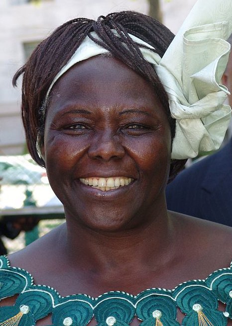 Wangari Maathai: The Green Warrior the World Overlooked (image credits: wikimedia)