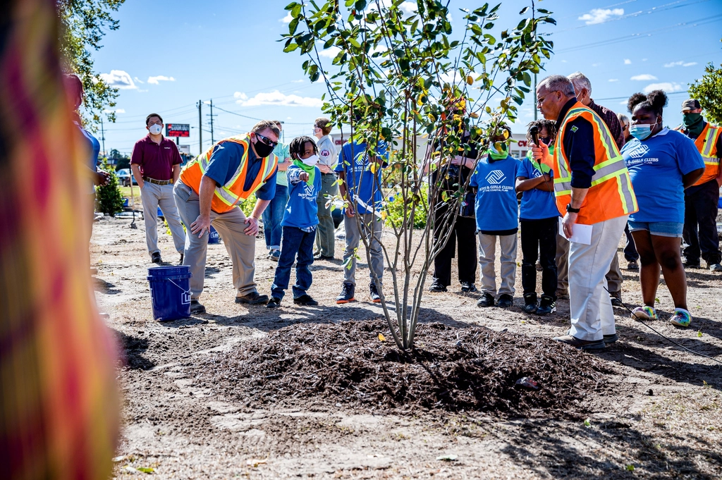 Planting Memorial Trees (Global) (image credits: rawpixel)