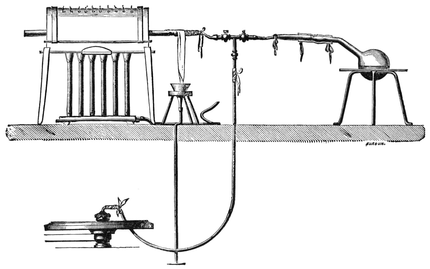 The Germ Theory of Disease: Pasteur’s “Invisible Enemies” (image credits: wikimedia)