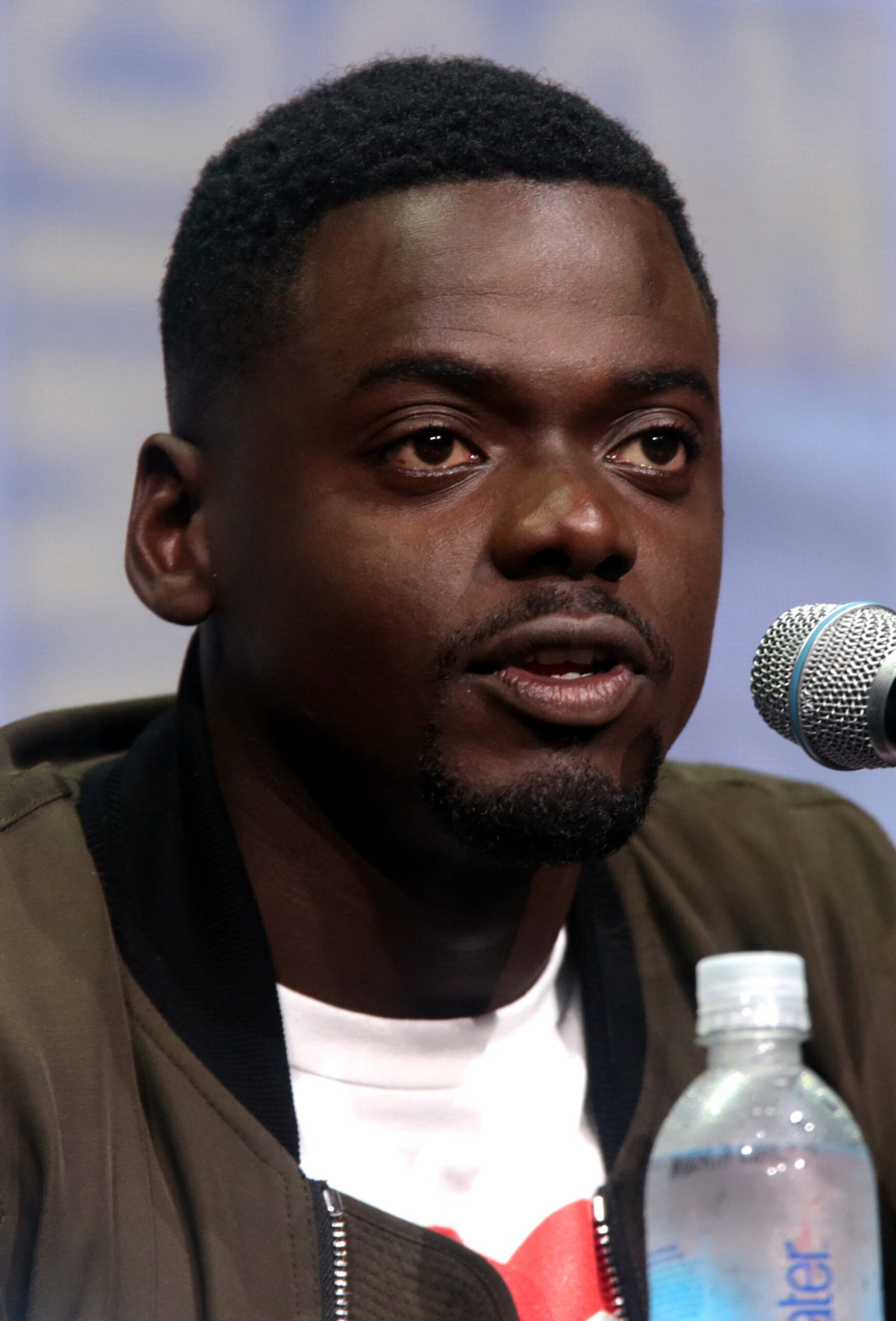 Get Out (2017) (image credits: wikimedia)