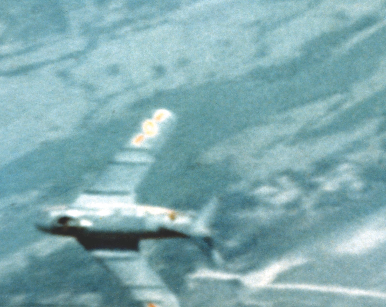 The Vietnam War (1955–1975) (image credits: wikimedia)