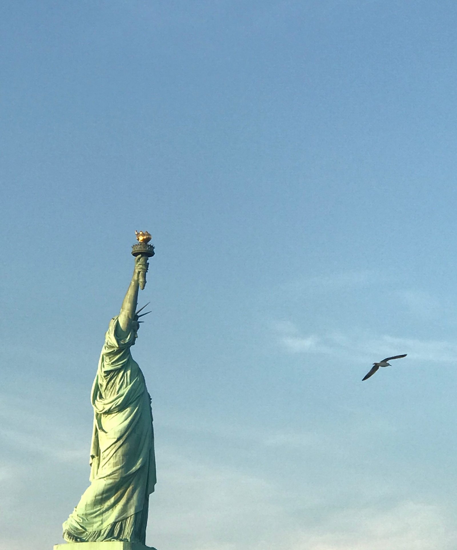 Statue of Liberty (USA) (image credits: wikimedia)