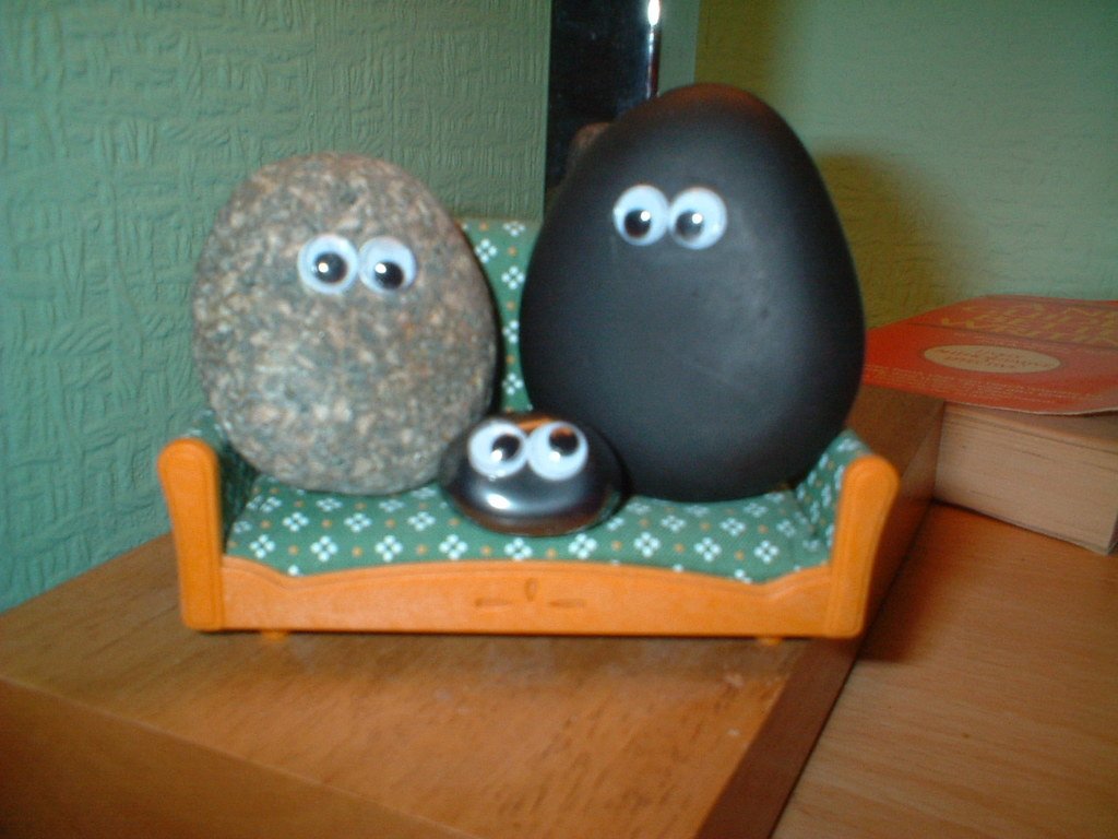 Pet Rock (1975) (image credits: wikimedia)