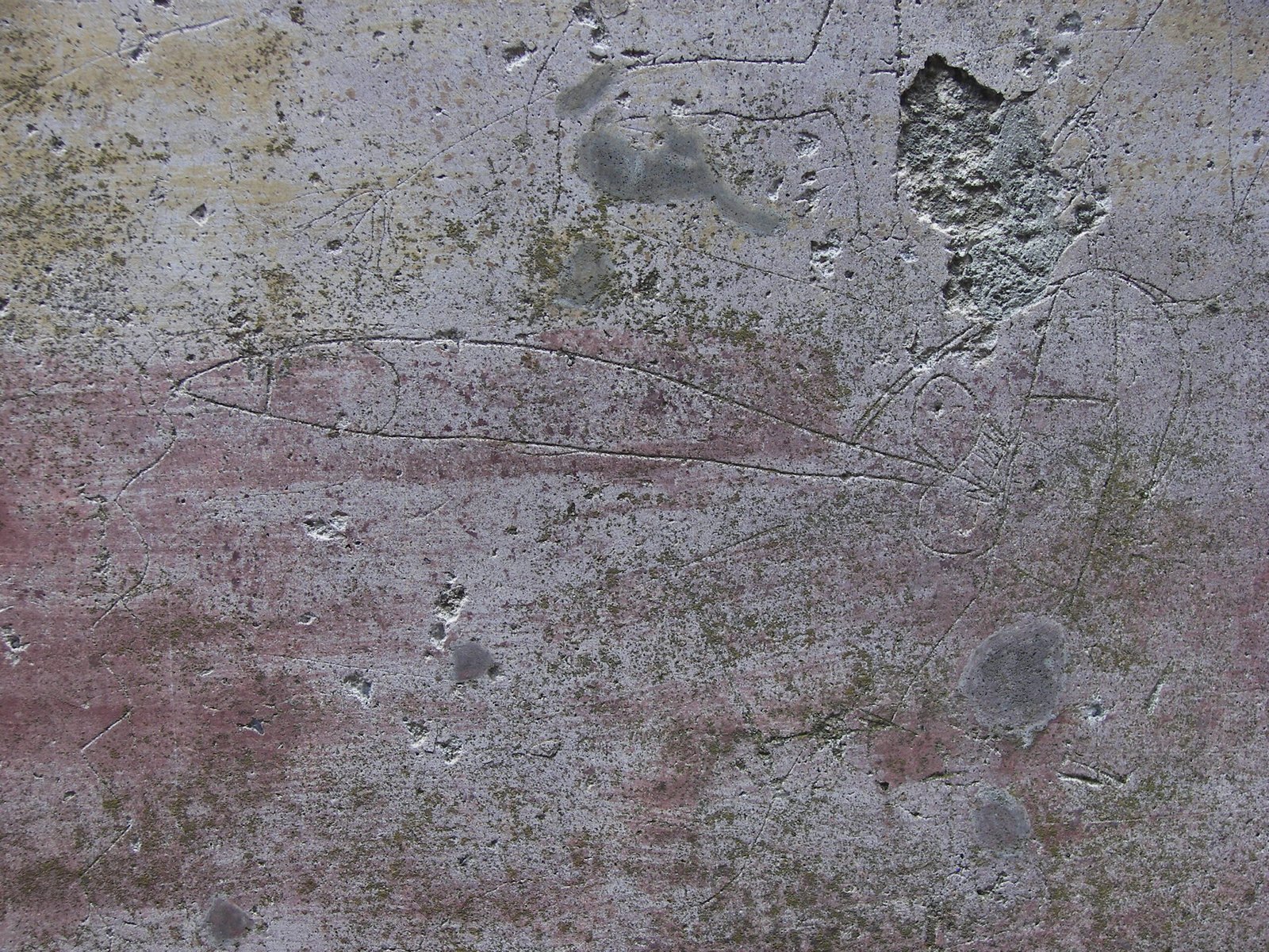 Pompeii’s Walls: Everyday Life Preserved (image credits: wikimedia)