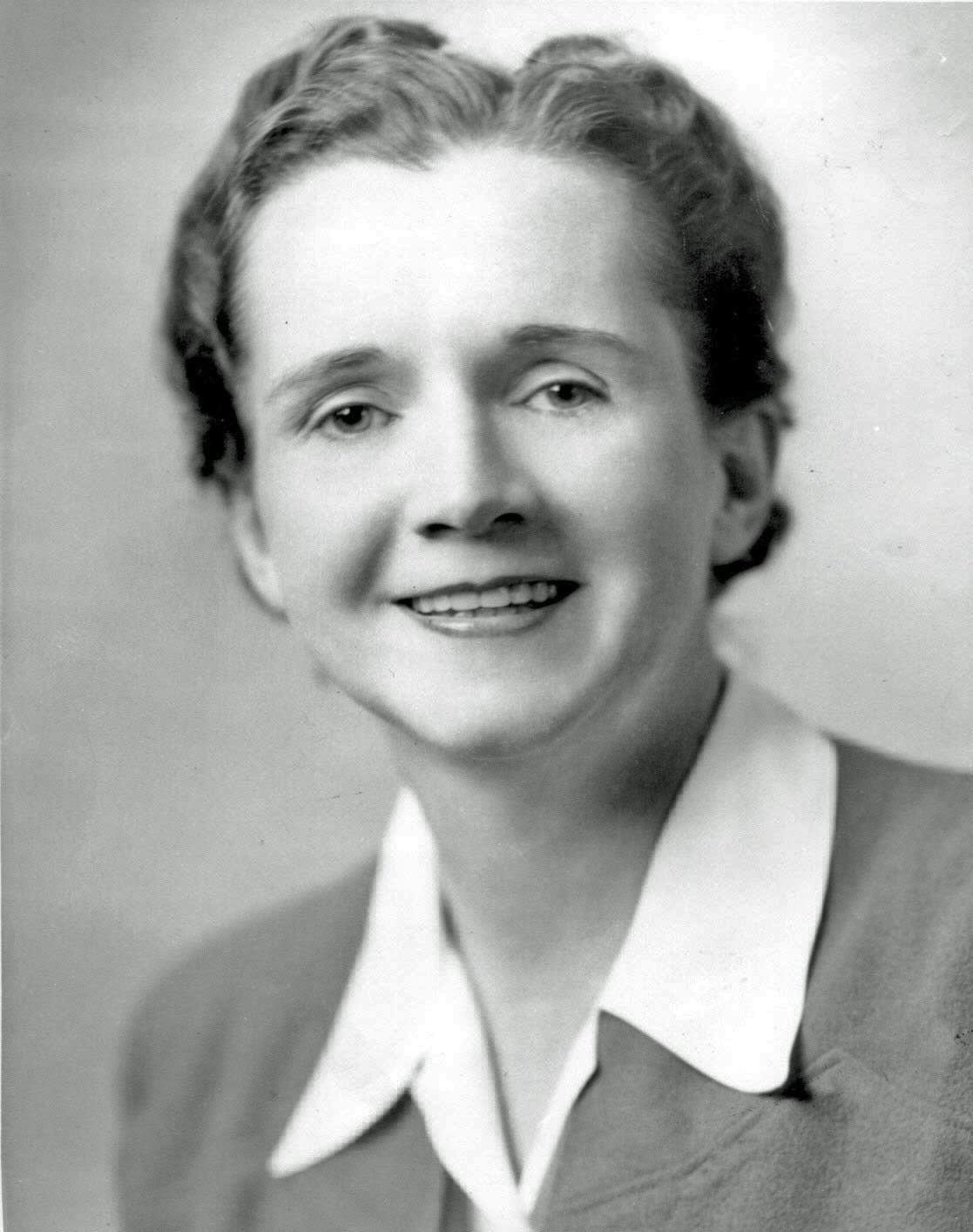 Rachel Carson: The Biologist Who Awakened the World to Pollution (image credits: wikimedia)