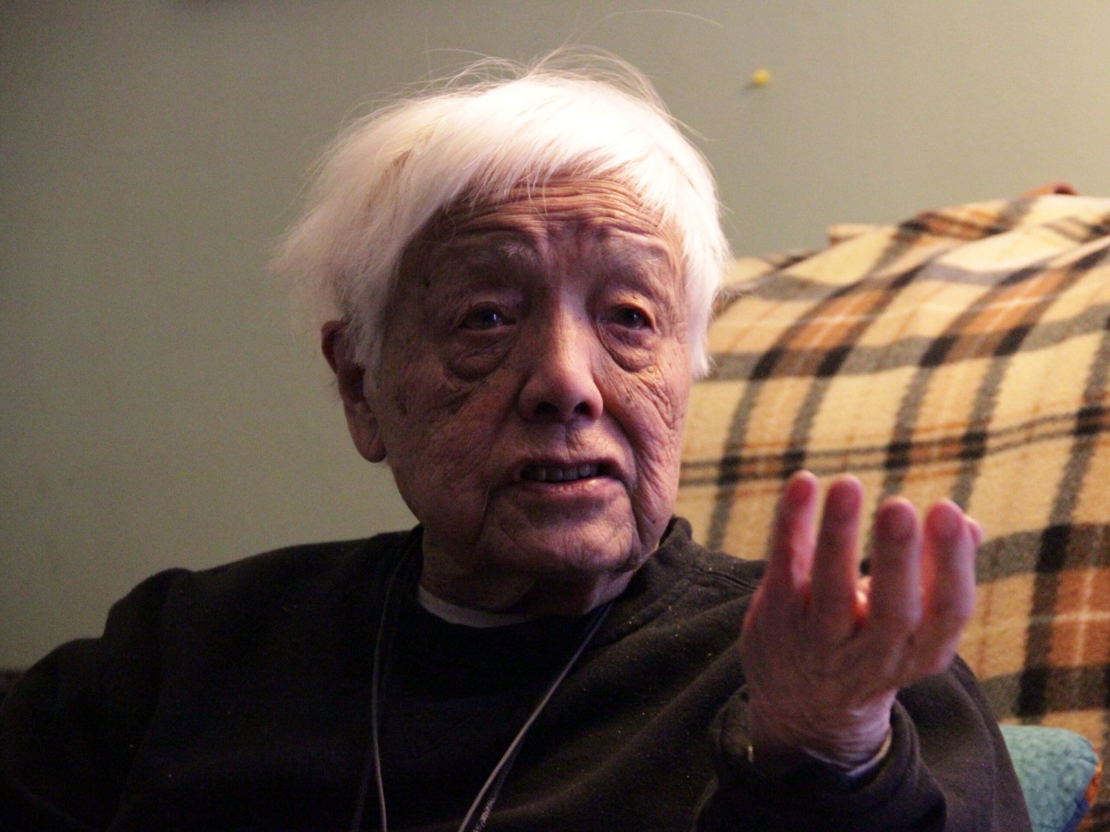 The Next American Revolution by Grace Lee Boggs (image credits: wikimedia)