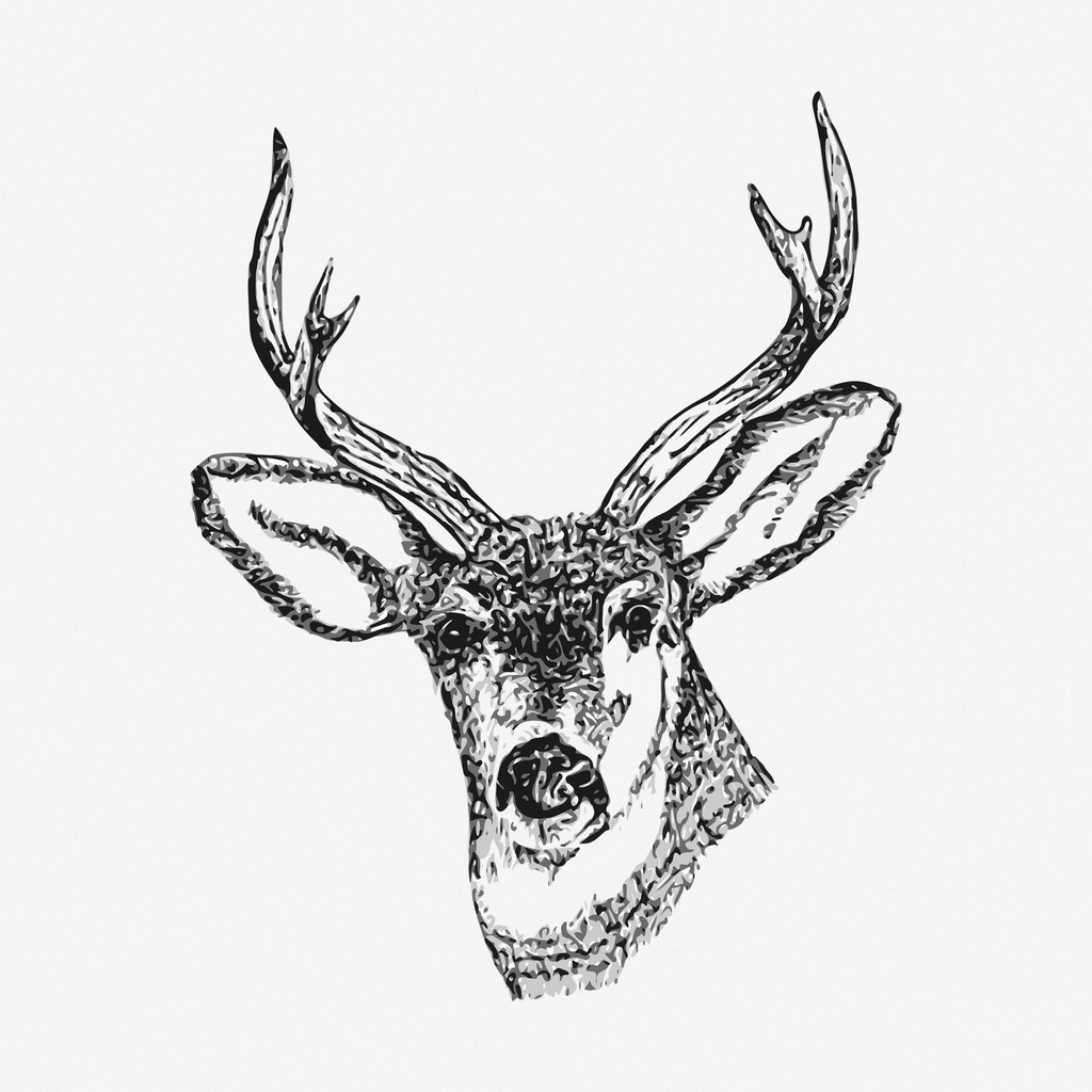 Stag or Deer (image credits: rawpixel)