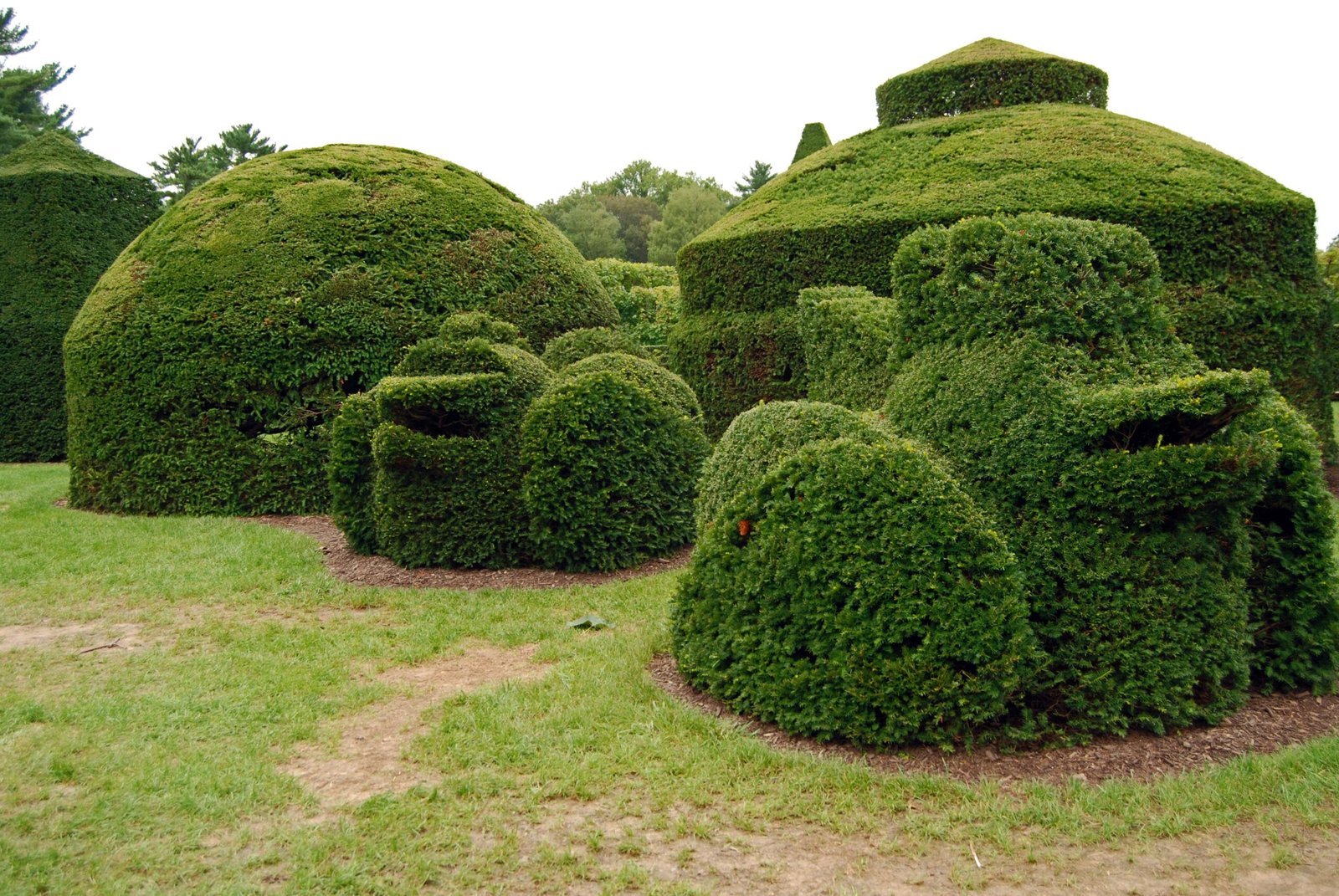 Visualize Vivid, Surreal Images (image credits: wikimedia)