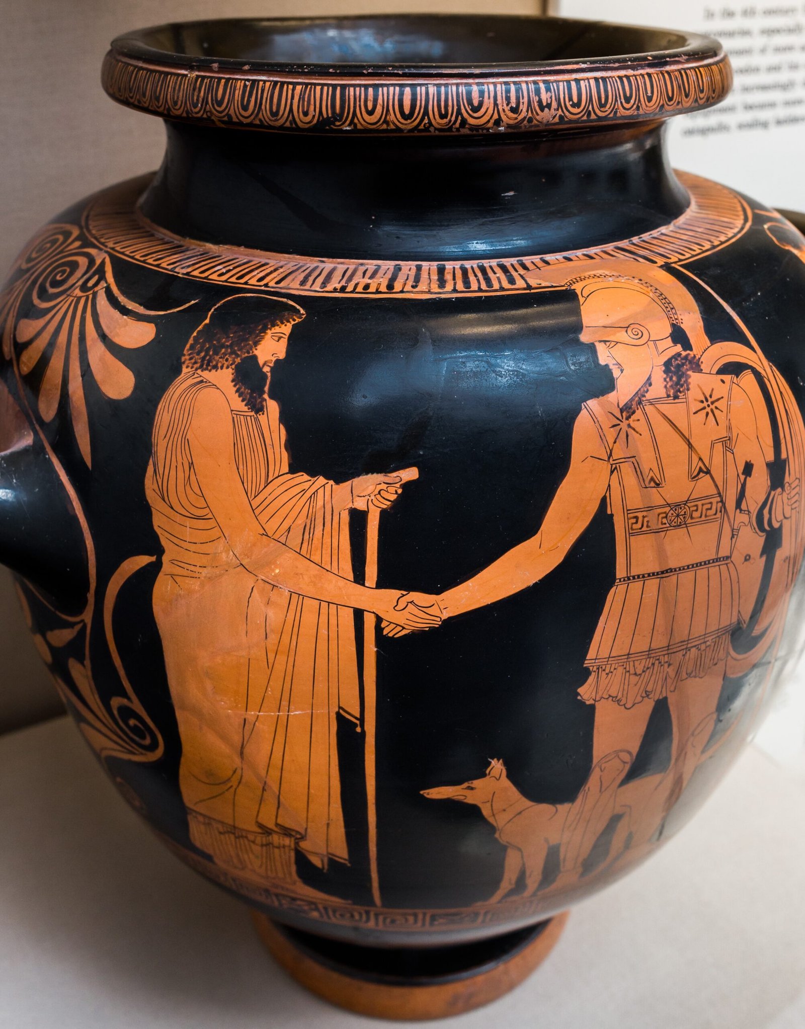 7. Achilles in 