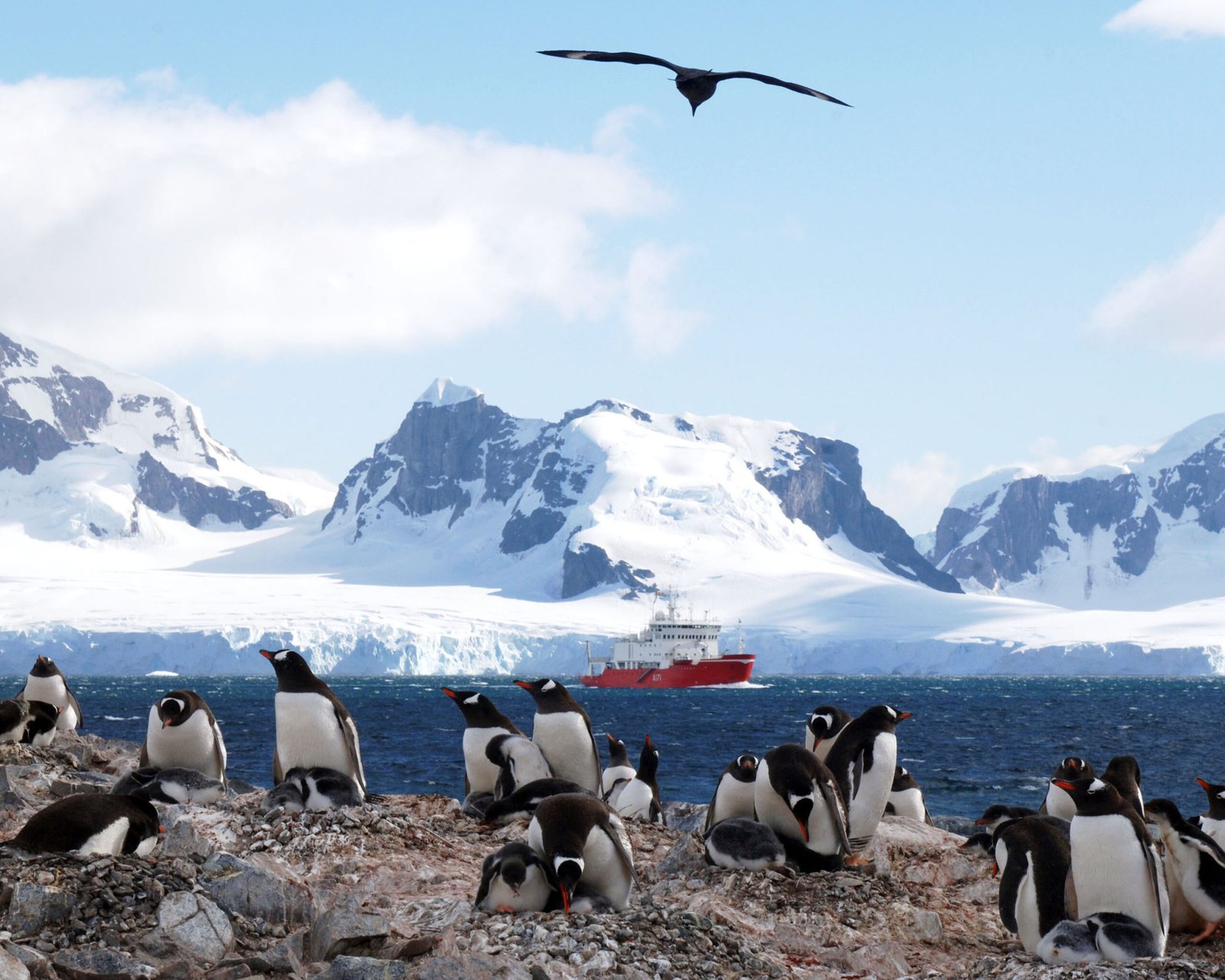 Antarctica (image credits: wikimedia)